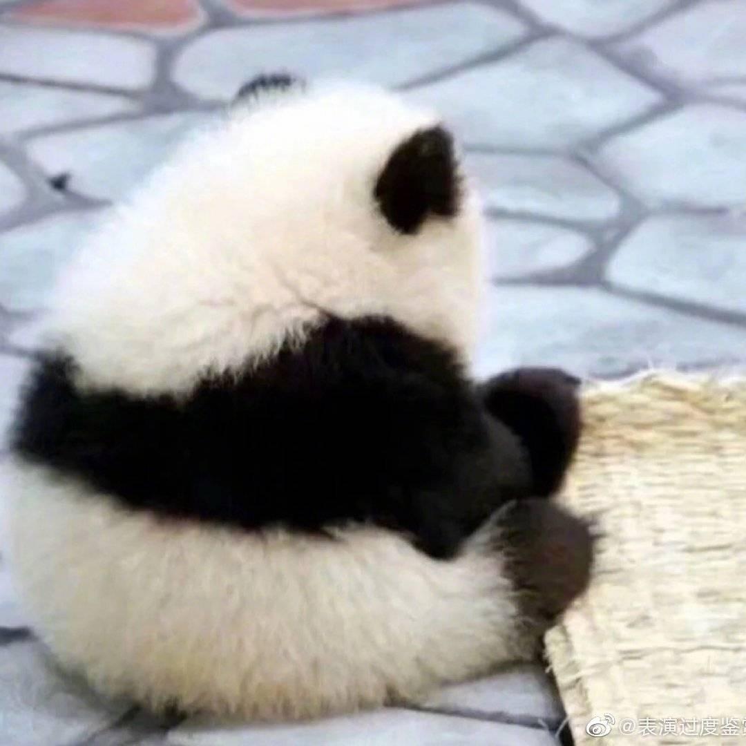 今天没有炸厨房