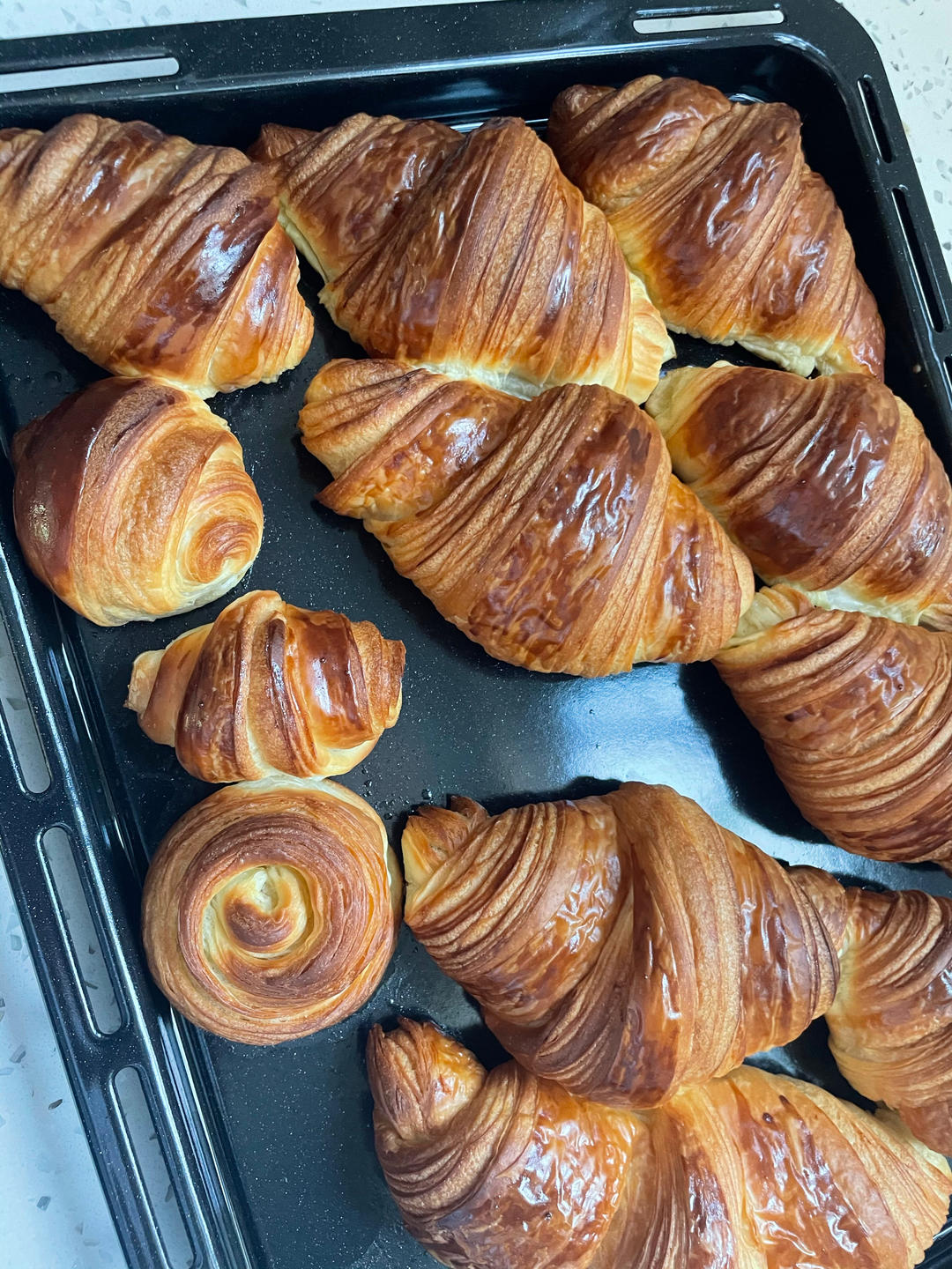 《Tinrry+》可颂（帅帅小厨）