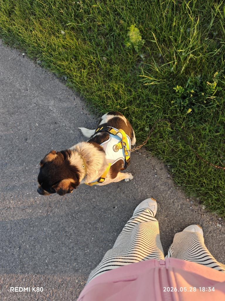 6月早餐马拉松