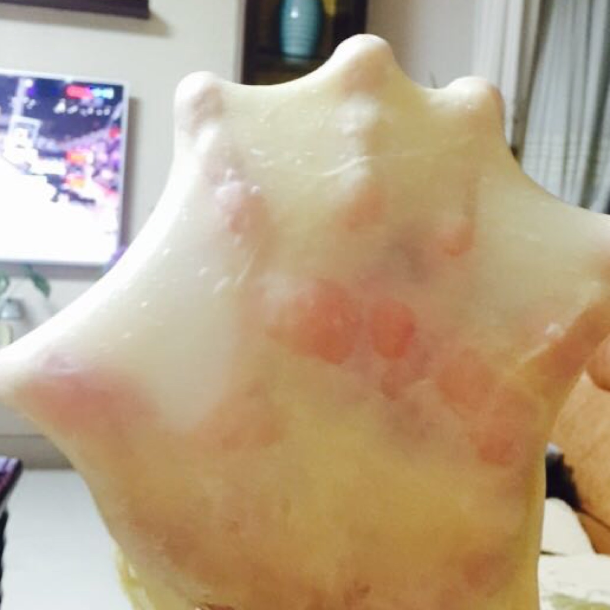 中种法面包基础面团