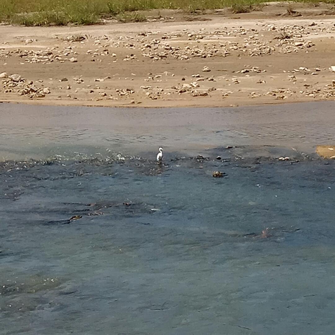 沐沐柒柒