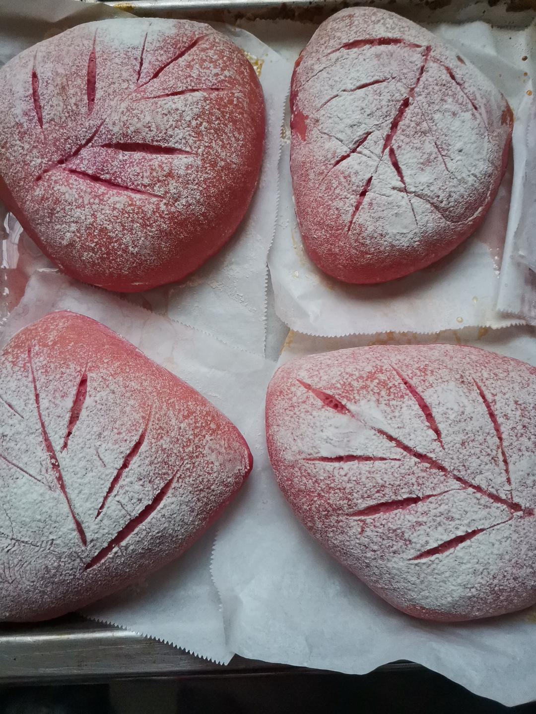 零基础！！软欧包健康无黄油减脂面包零基础