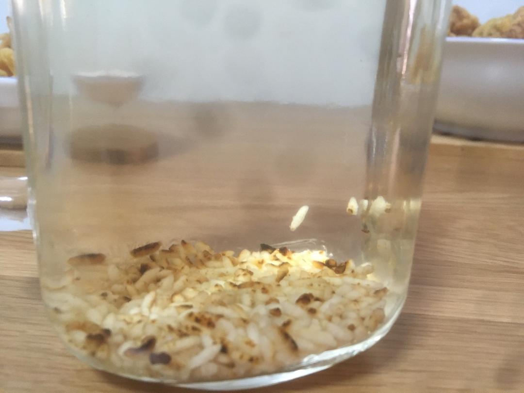 消脂米茶