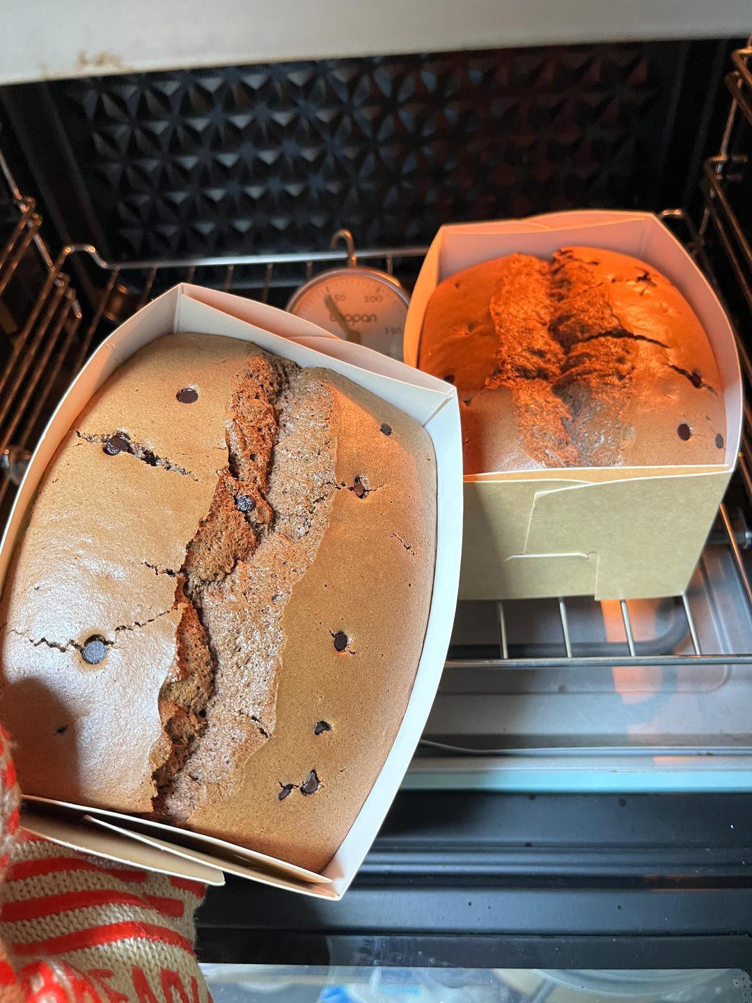 巧克力金枕蛋糕㊙️无泡打粉一次成功零失败