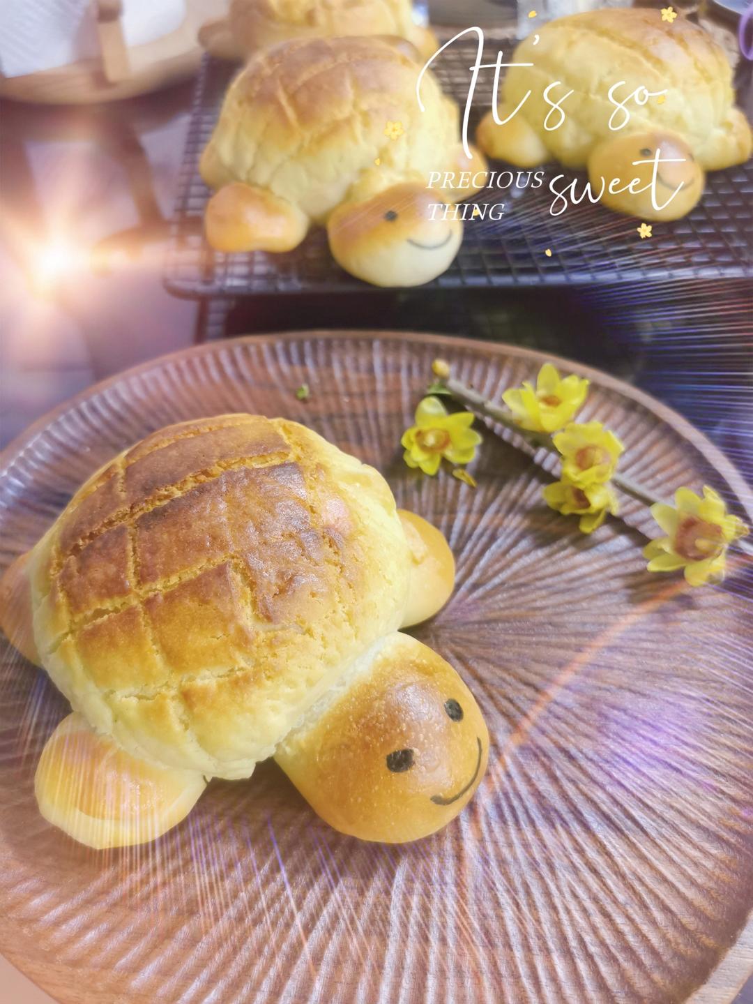 献礼儿童节：小乌龟菠萝包