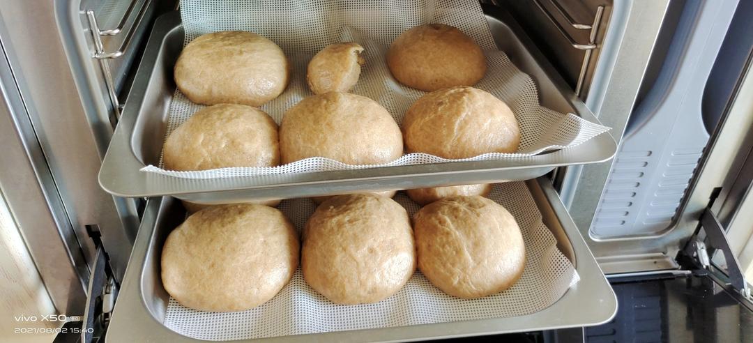 全麦馒头（一次发酵）