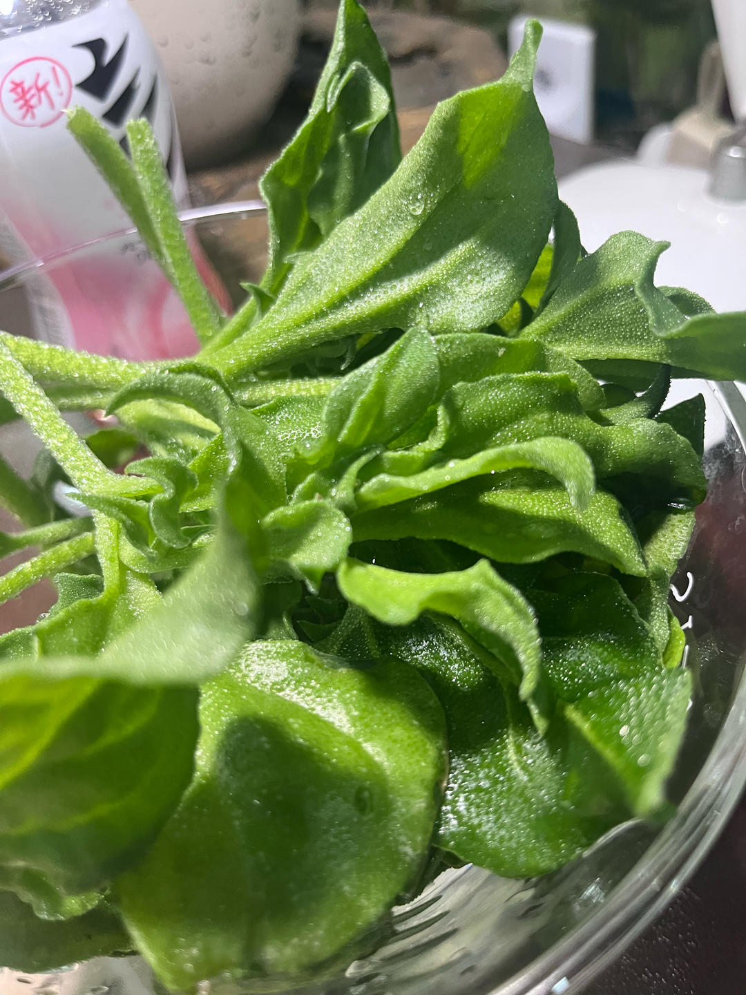 秒杀饭店，只需两步❗️经典凉菜做起来-凉拌冰菜&冰菜沙拉