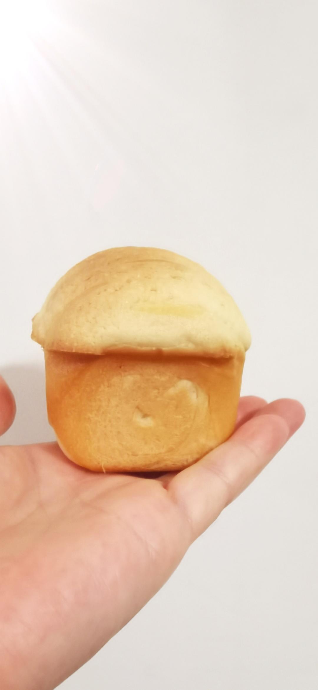 巧克力蘑菇头面包