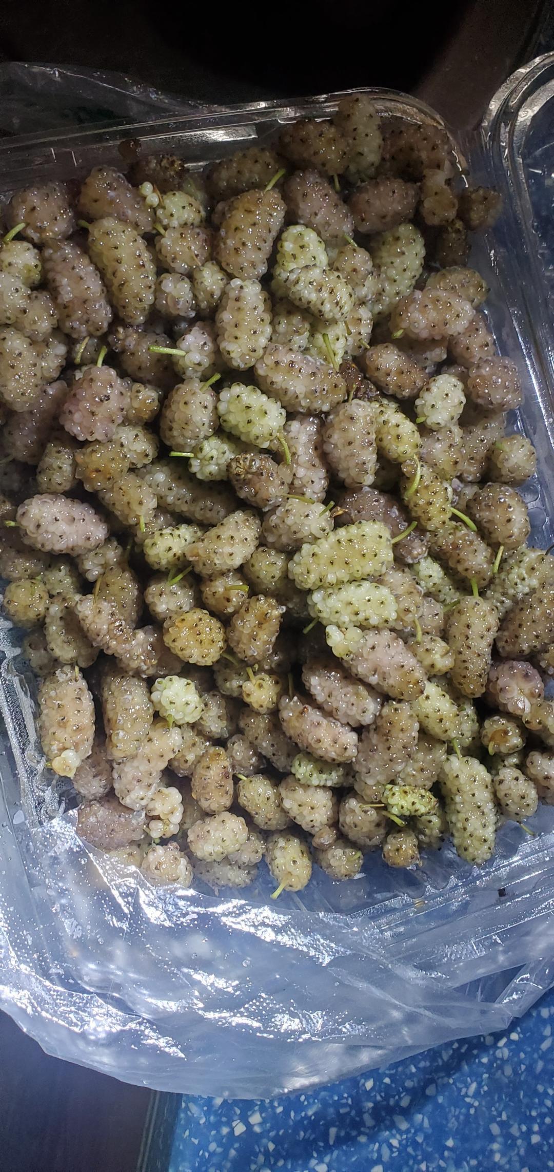 爱尝鲜的蔬果宇宙