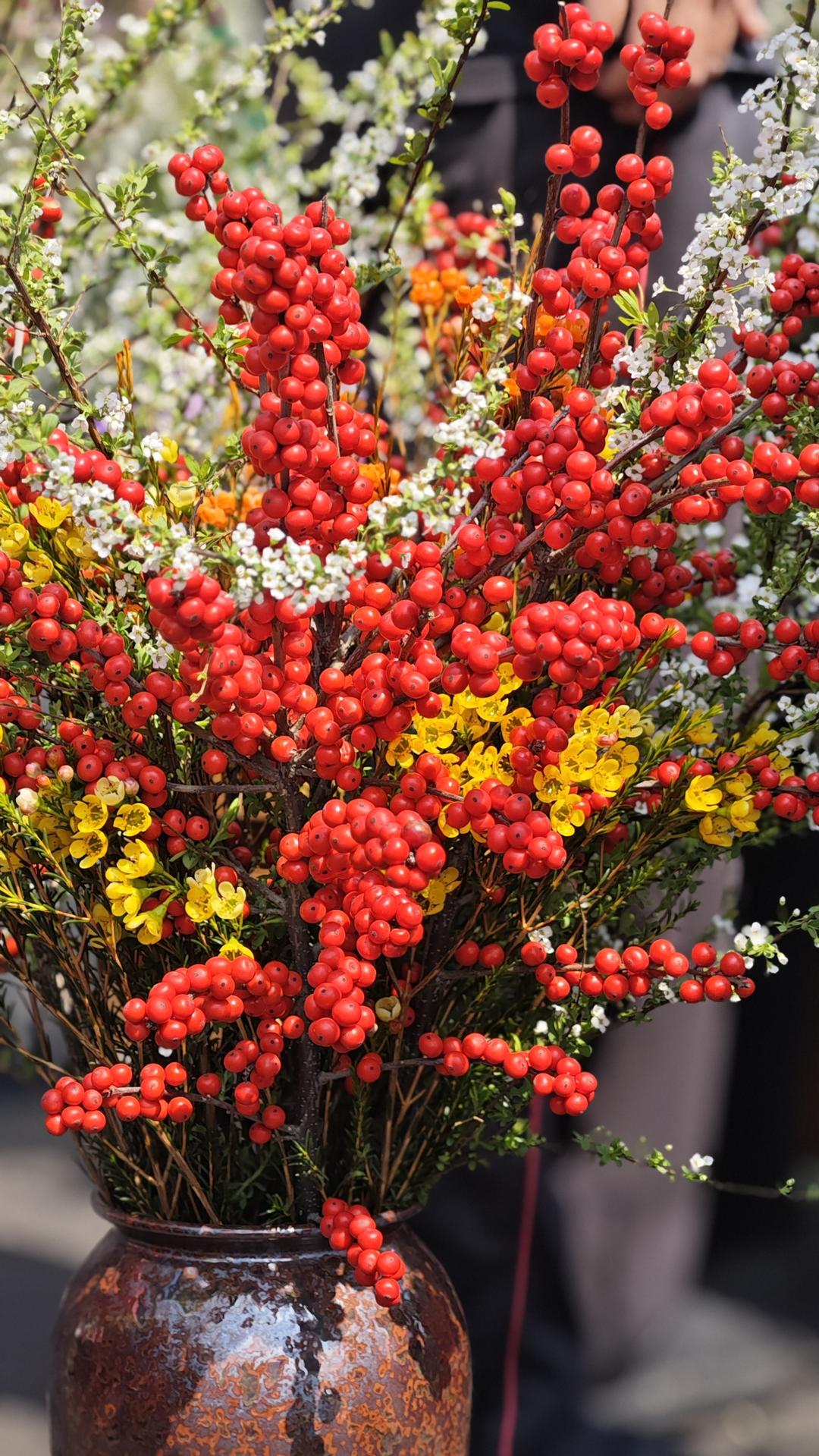 花花世界