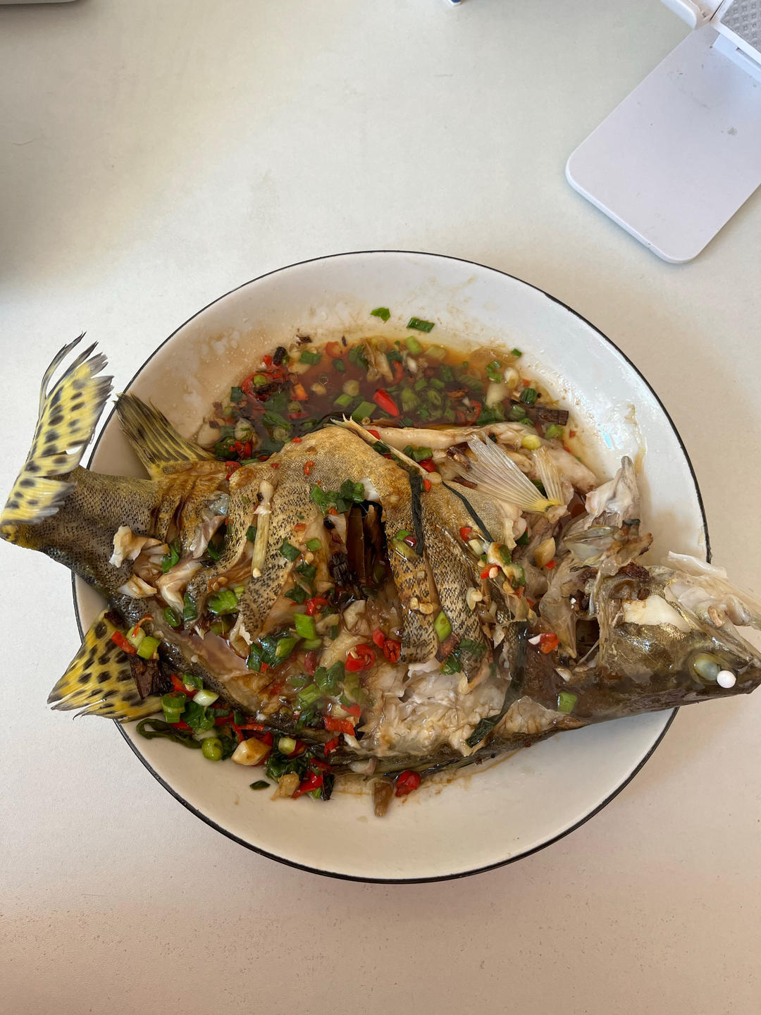 清蒸桂花鱼(鳜鱼)，适合各种清蒸鱼，超级鲜美
