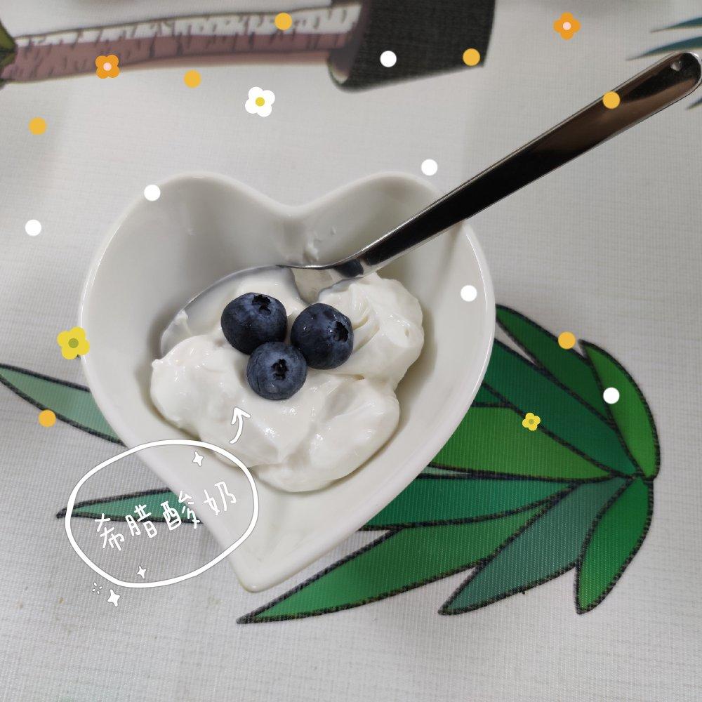 自制希腊酸奶
