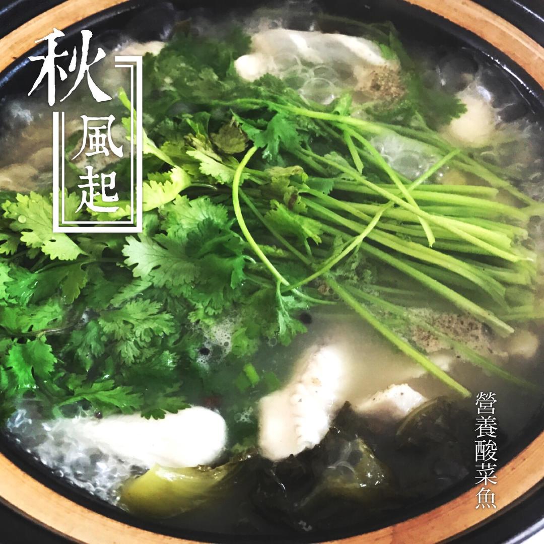 酸菜鱼