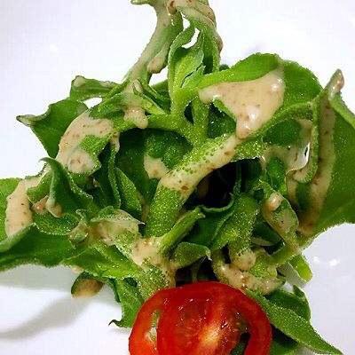 冰草沙拉🥗（轻食款）