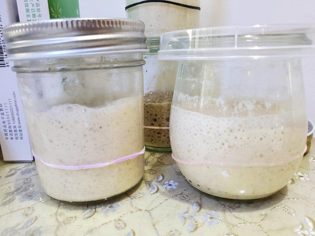 天然酵种培养记（小白记录用）（or鲁邦种）