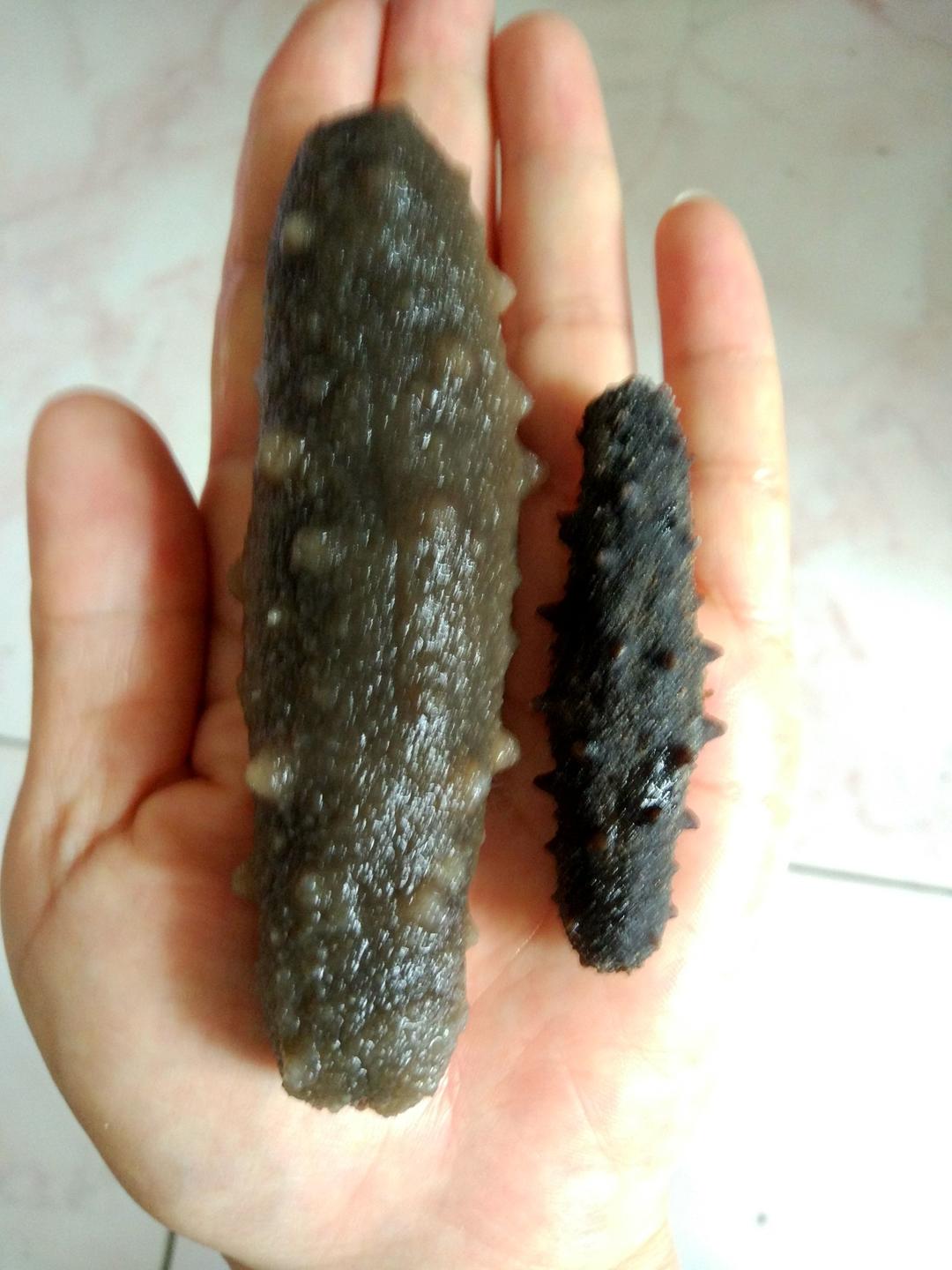 小清_pv7m做的海参泡发攻略