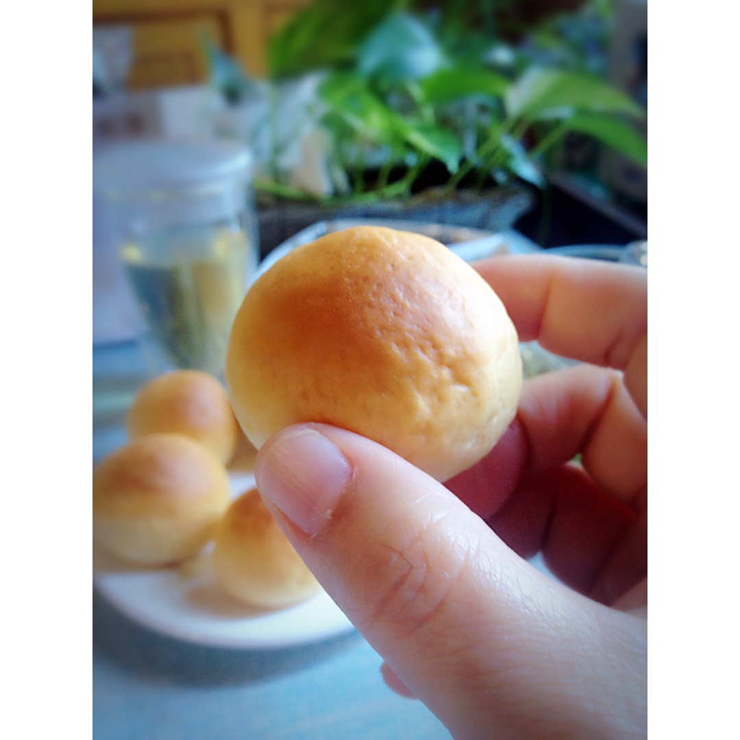 淡奶小面包