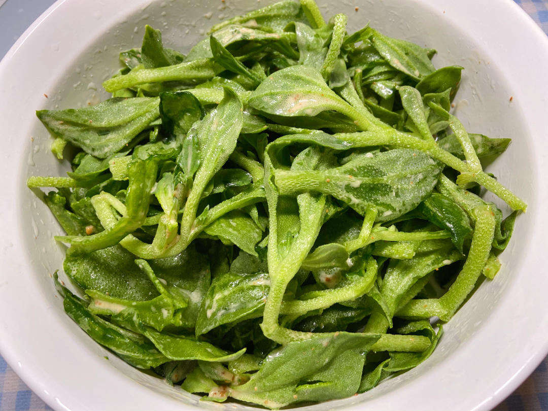 沙拉汁拌冰草