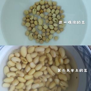 豆浆（每日一杯）的做法 步骤1