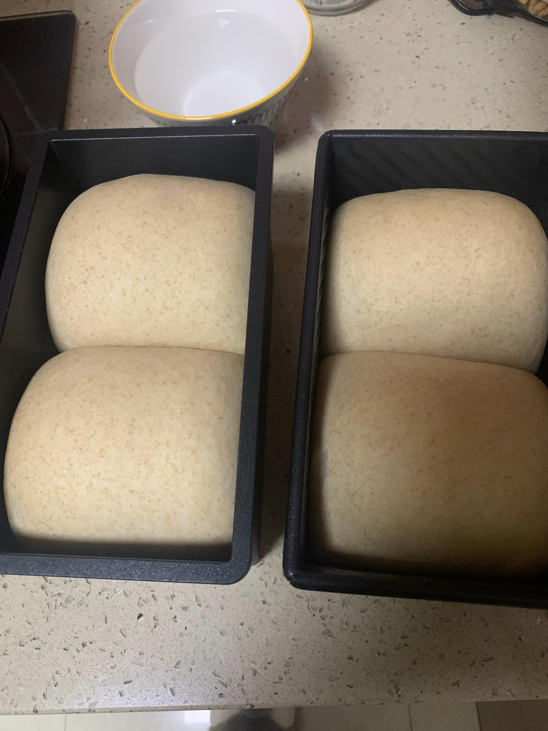 波兰种全麦吐司