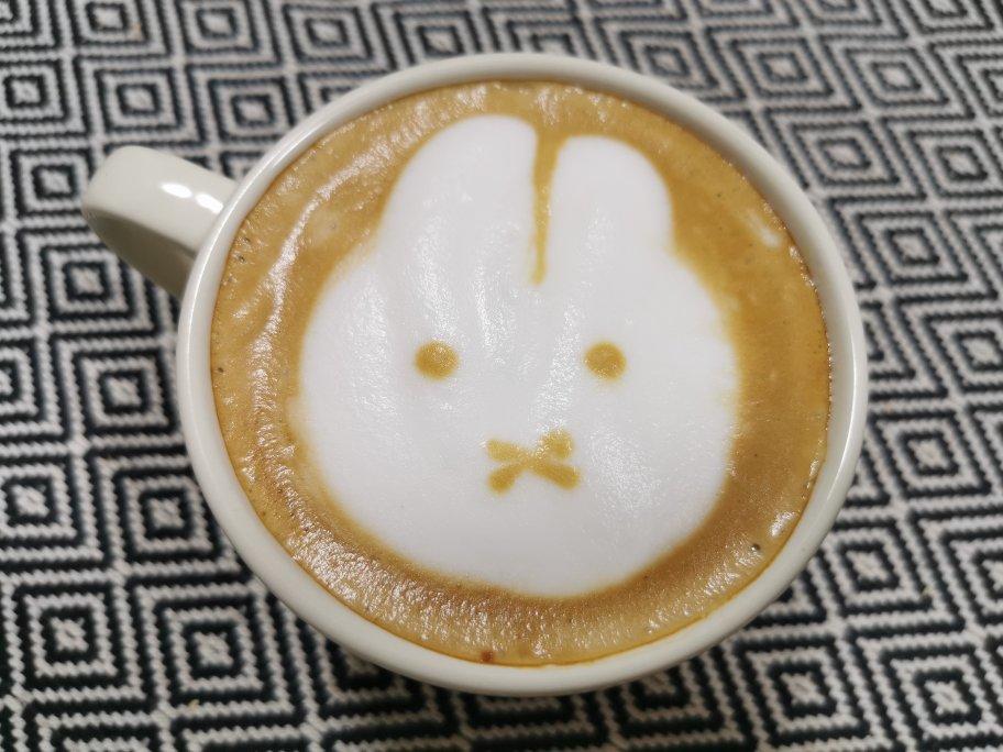 舞月小蛇做的咖啡拉花打基础大白心