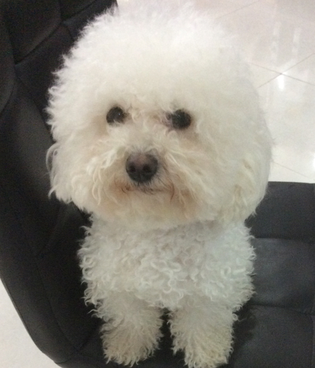 吃吃吃吃吃饱了_7waq