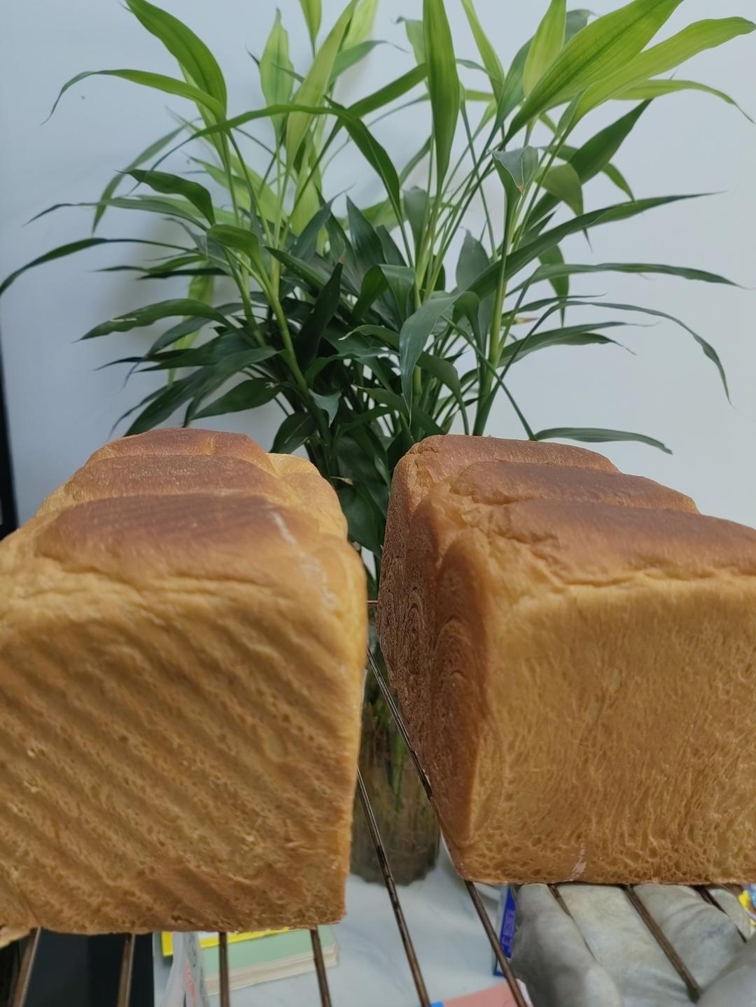 适合新手的吐司面包