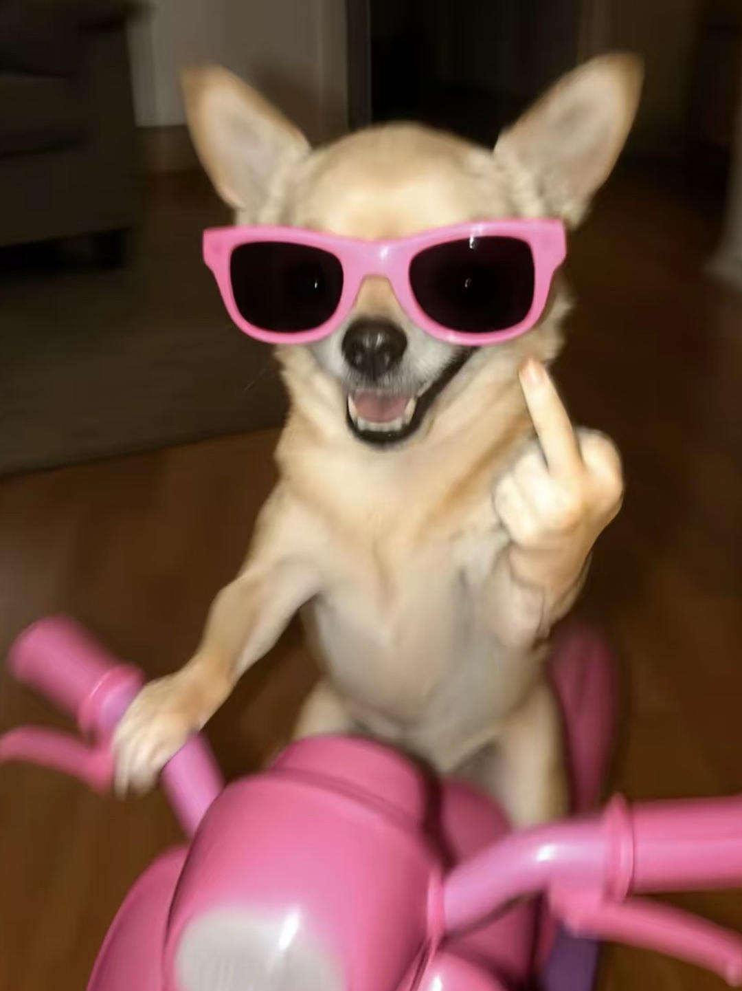 Caaaaaarina
