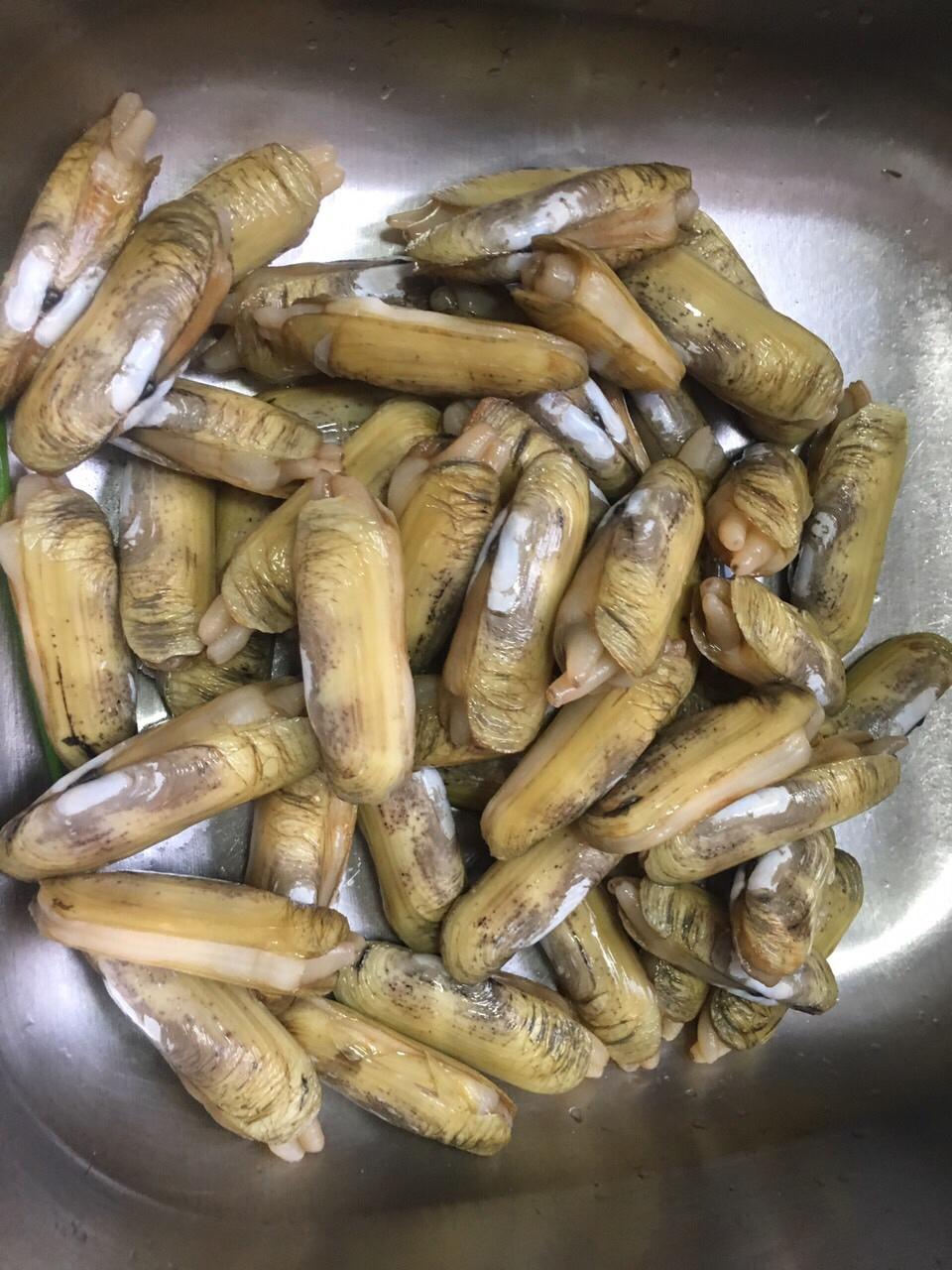 天使在身边aibo做的爆炒蛏子