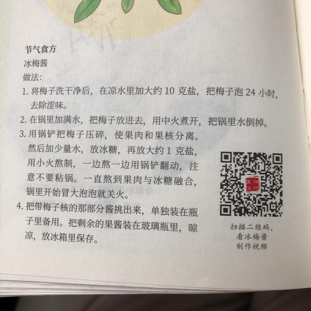 陈允斌老师的冰梅酱