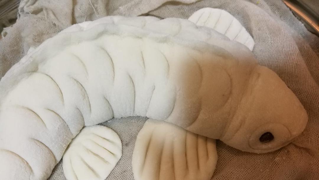 鱼造型花样馒头