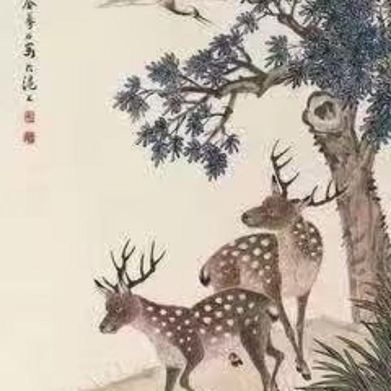 宝妈55