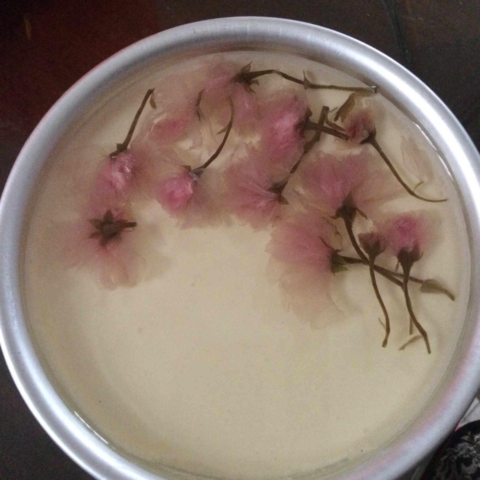 冻酸奶芝士蛋糕