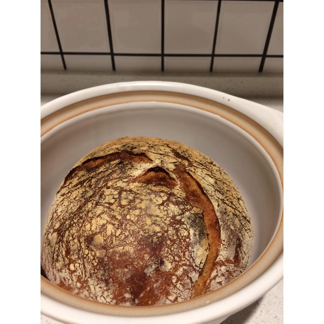 欧包/乡村面包-无油不用揉 No Knead Bread
