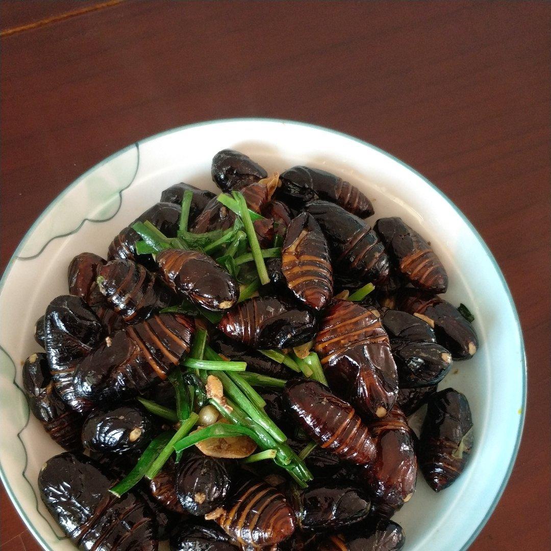 家常炒茧蛹