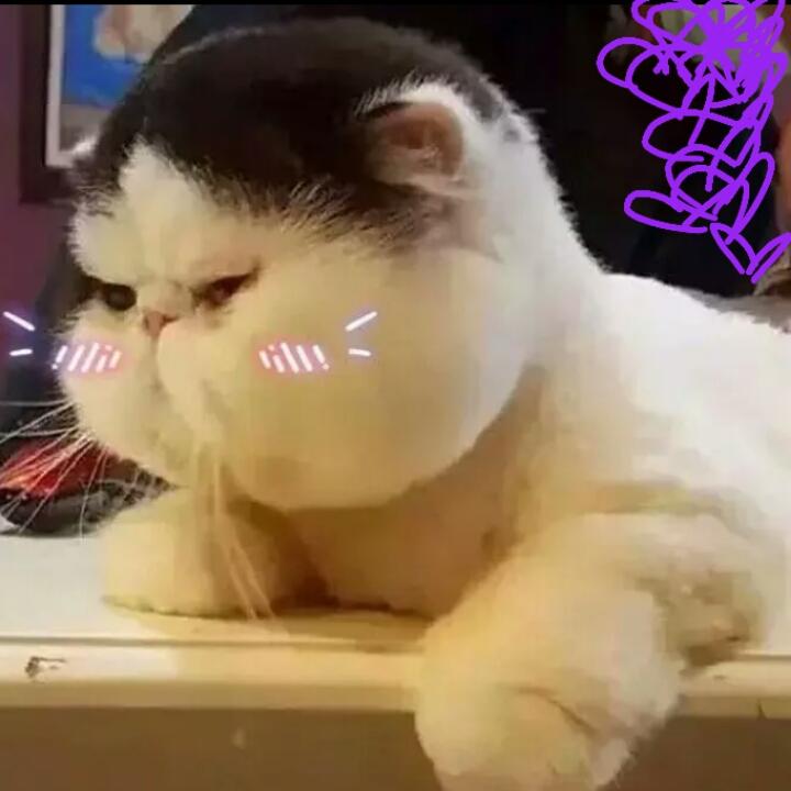 可乐_妈