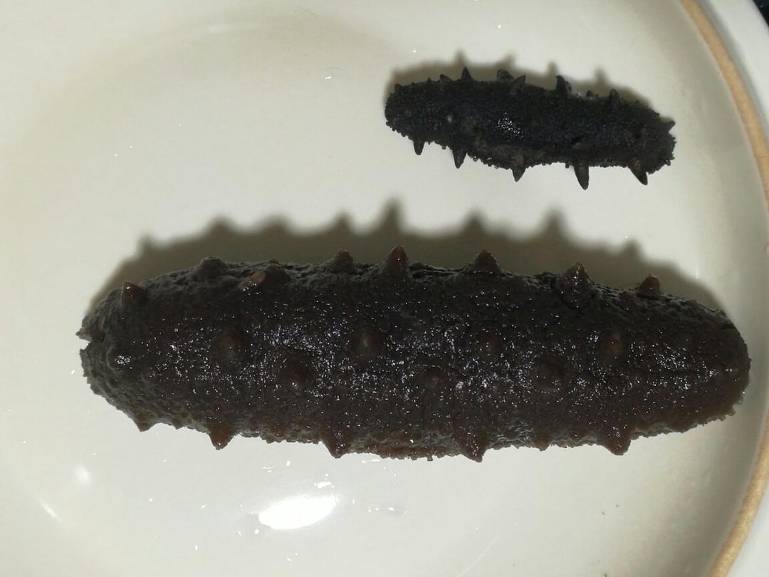 海参泡发攻略