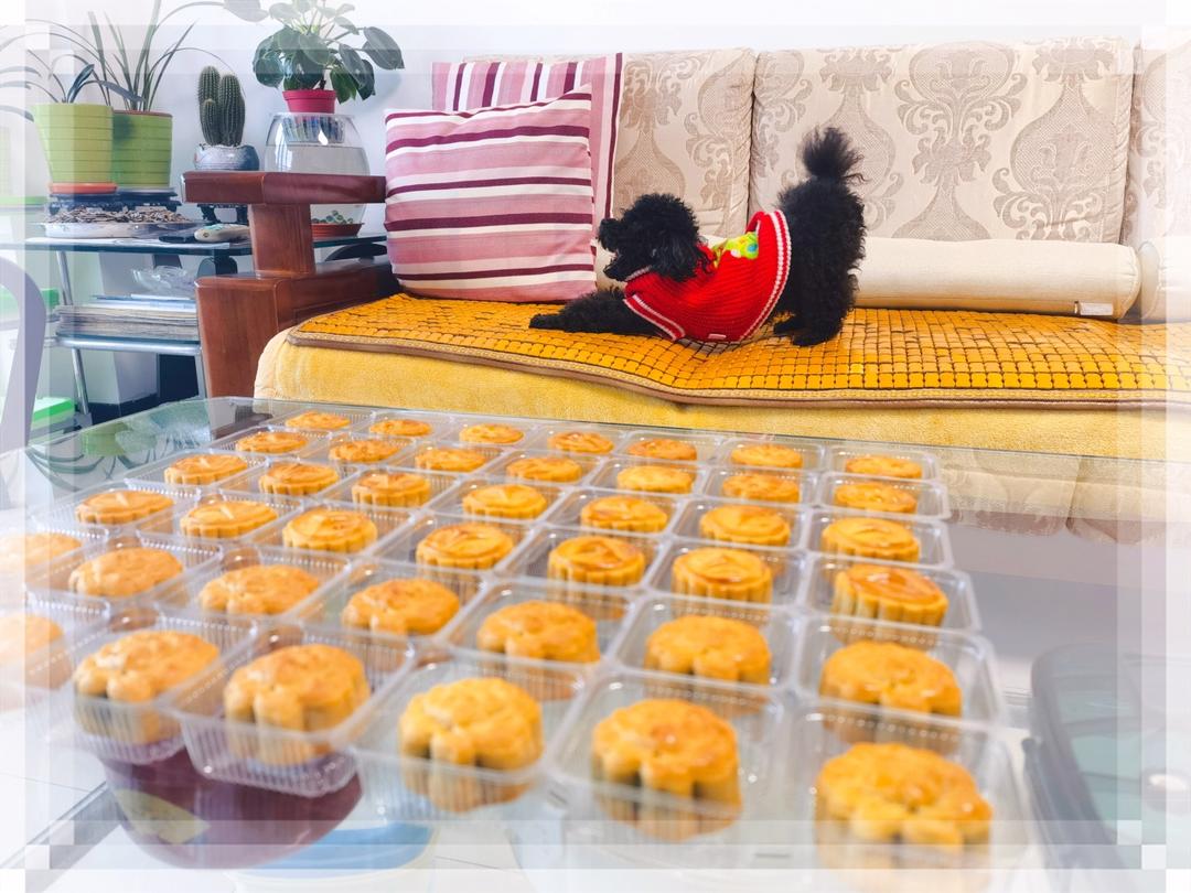 广式月饼—蛋黄莲蓉月饼
