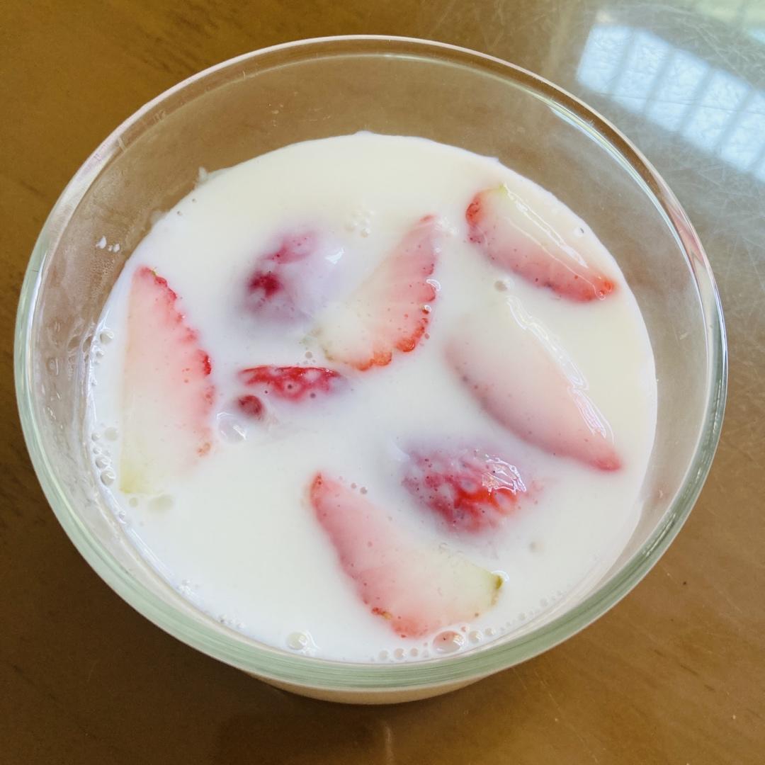 火龙果奶冻