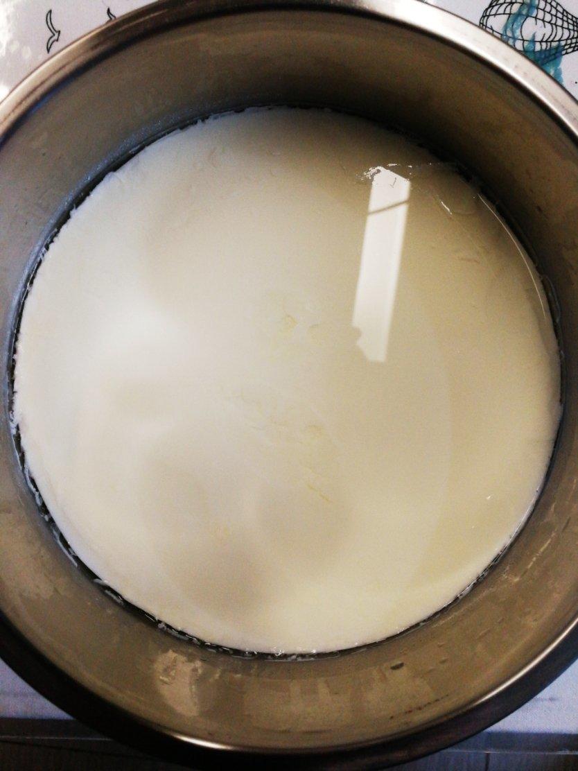 不一样的酸奶（奶粉版）