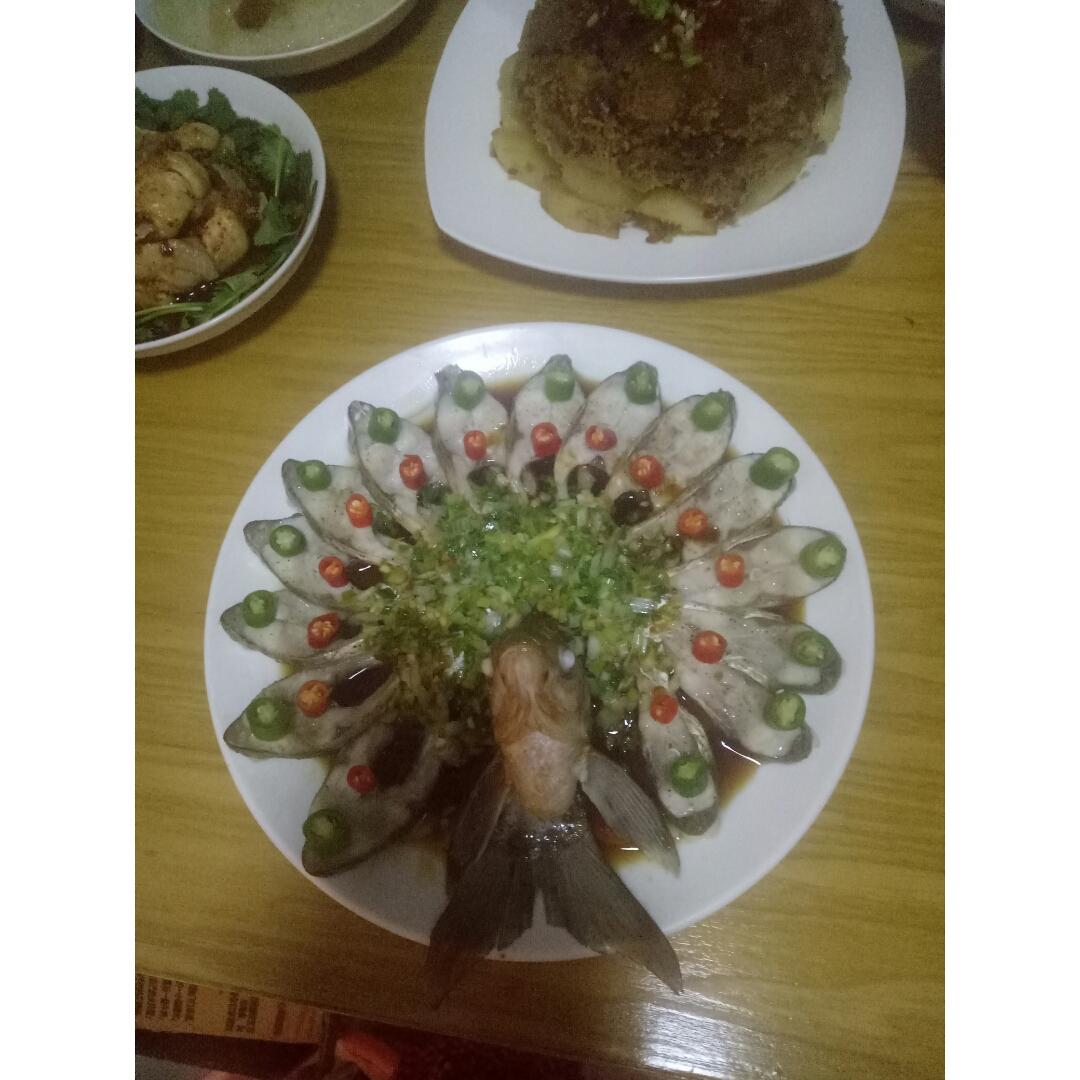 孔雀开屏鱼.