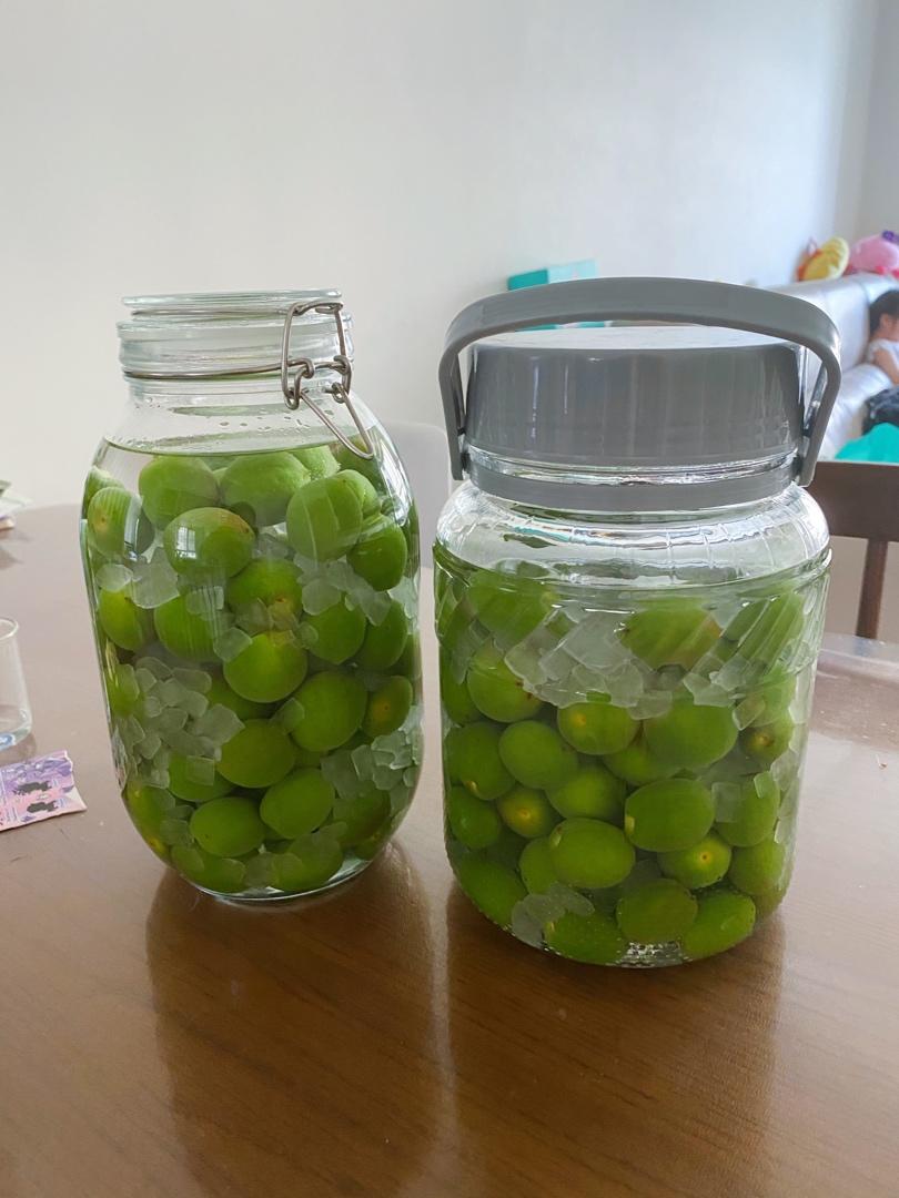 【青梅酒】梅子的沉醉时光（已填坑）