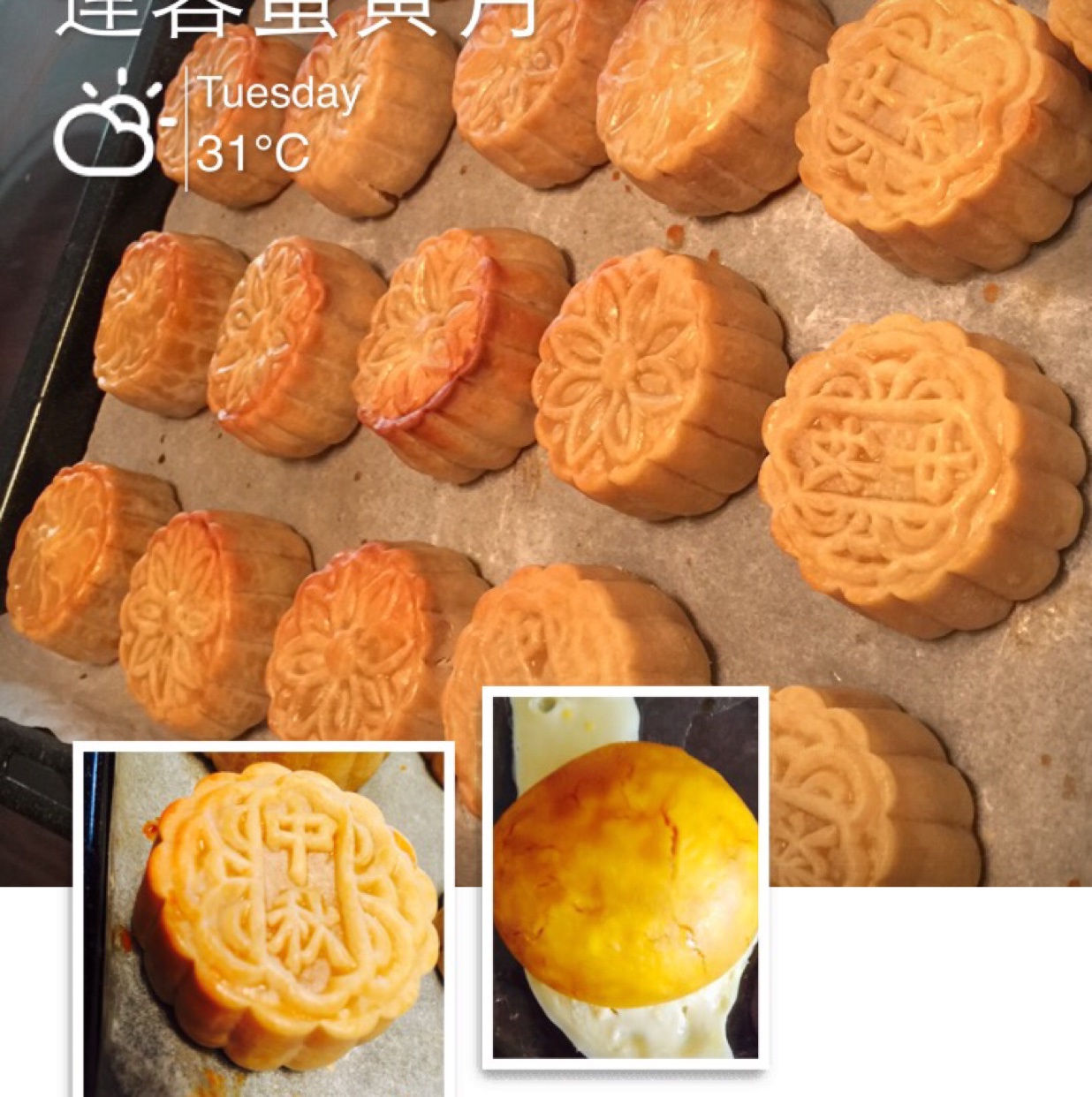 广式蛋黄莲蓉月饼