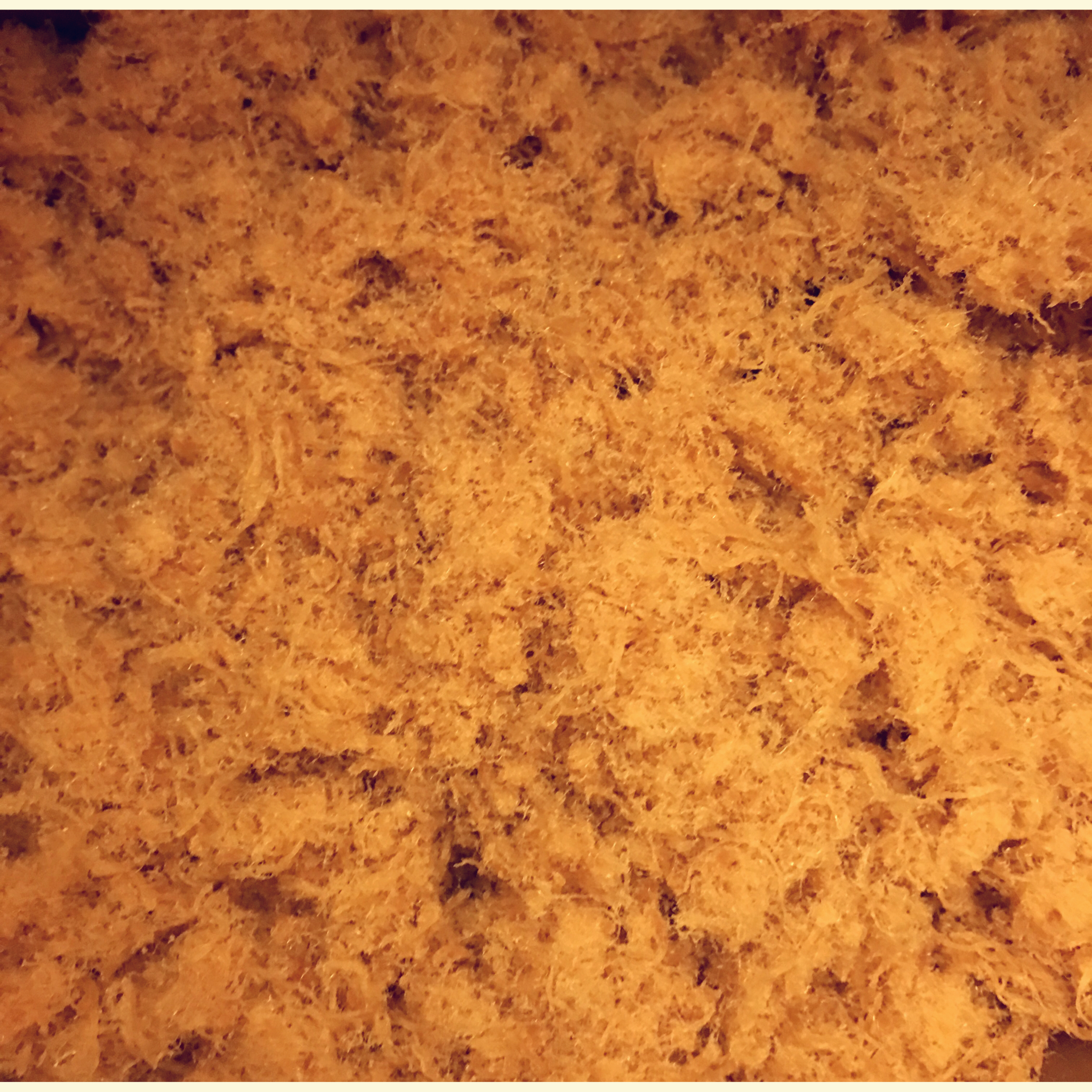 早餐•2016年2月22日