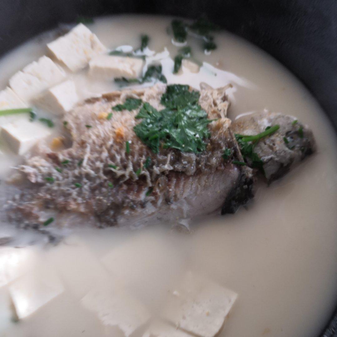 鲫鱼豆腐汤
