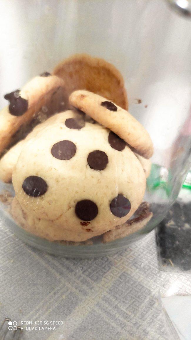 趣多多巧克力豆饼干