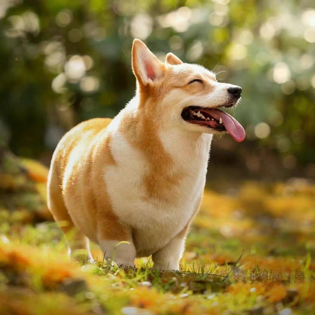 吃可爱多长大的甜妞