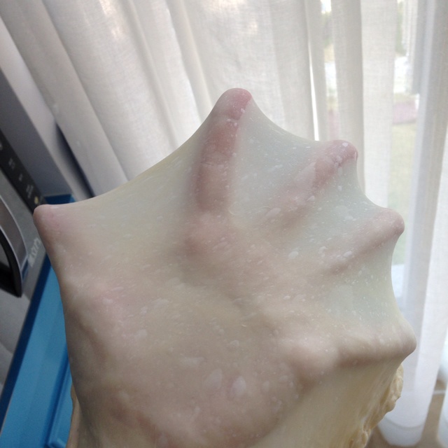 手工揉面