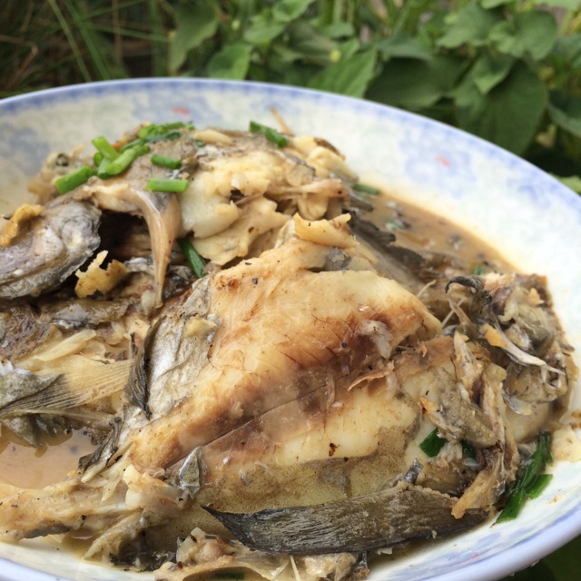 黄豆酱焖鱼块