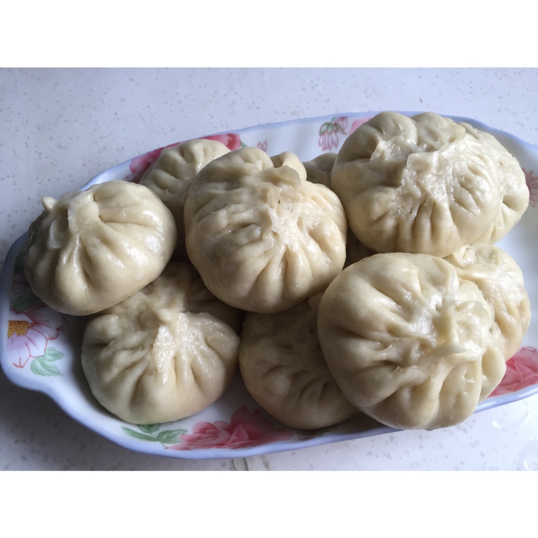 堂妈教你山菜鲜肉大包子